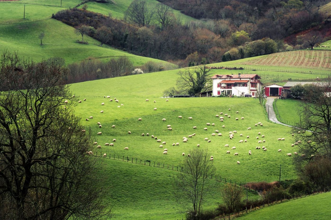 French-Basque-Country-scaled