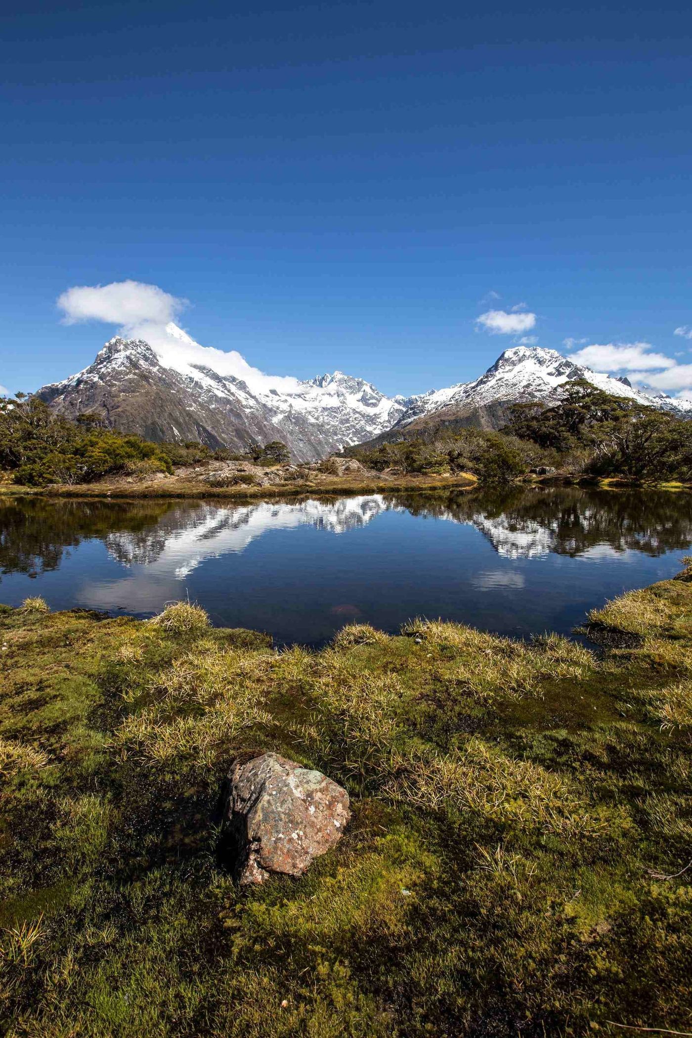 Fiordland’s Great Walks: Milford, Routeburn & Kepler - 5 Days