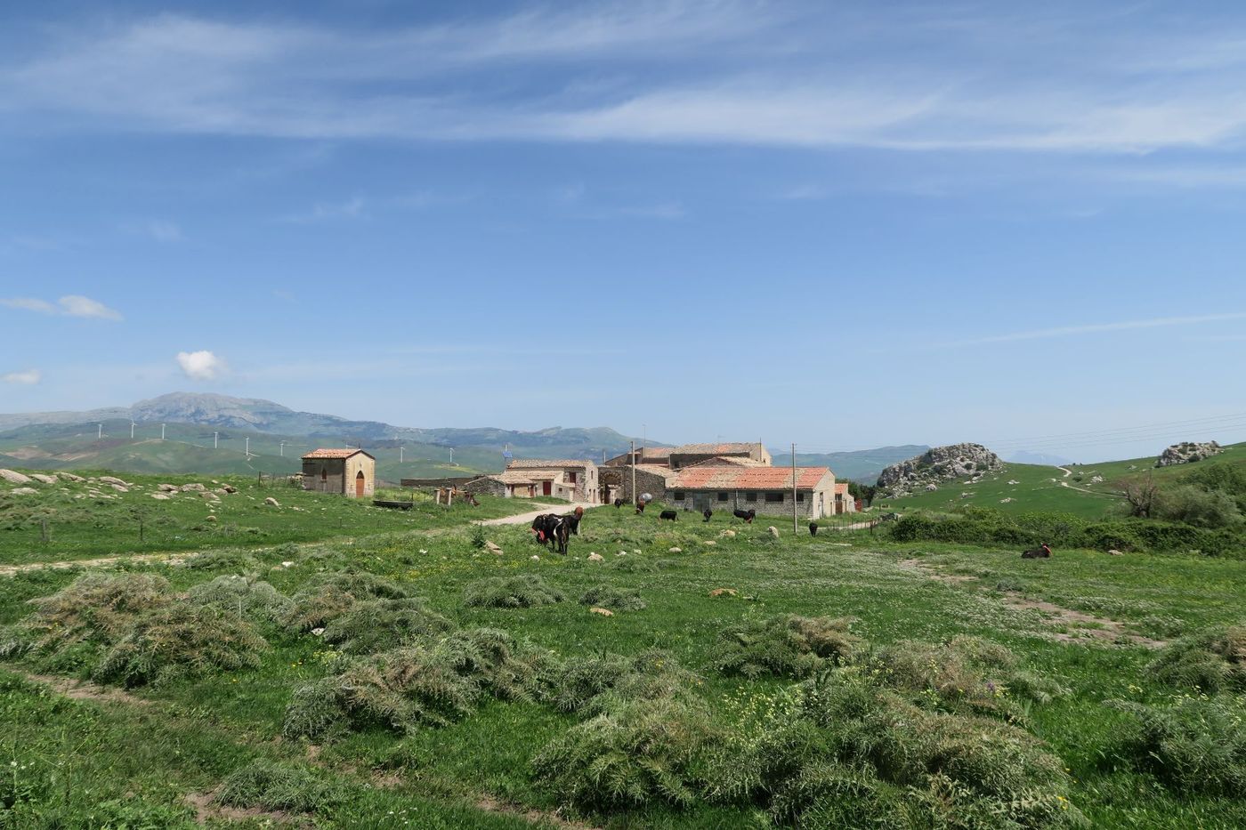 MAGNA_VIA_FRANCIGENA Way