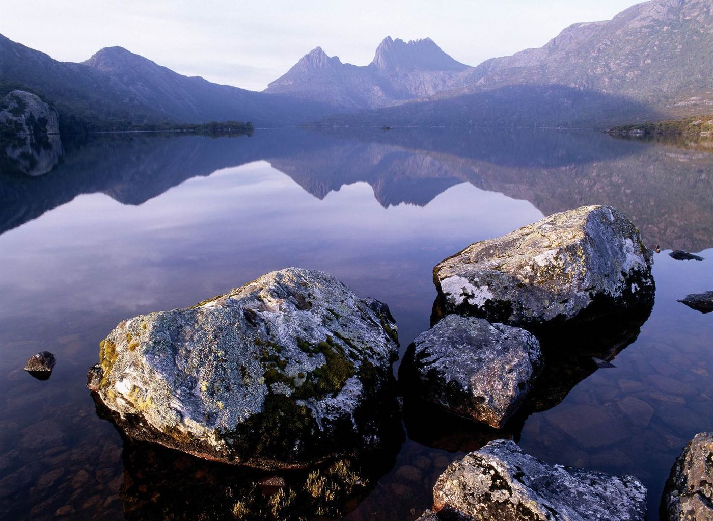 tarkine wilderness