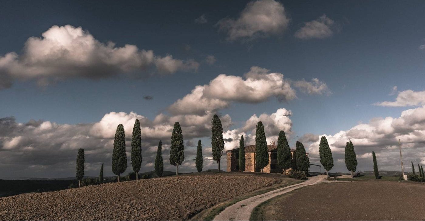 white tuscan wine