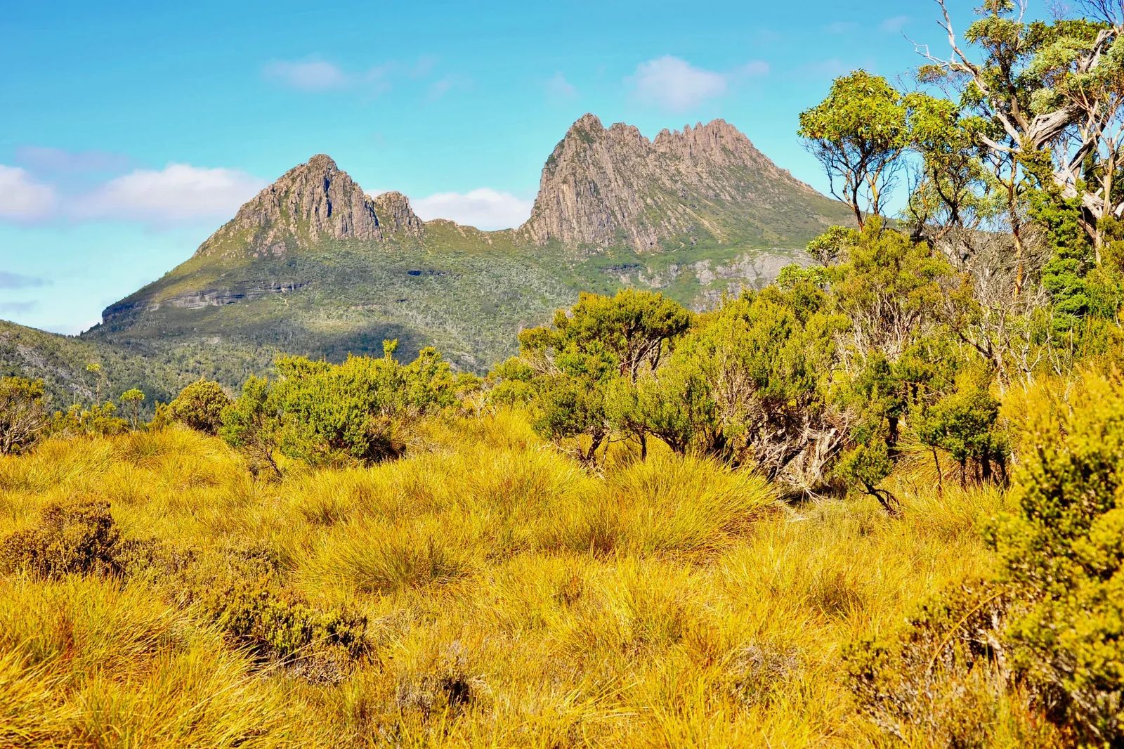 Cradle Mountain with Auswalk