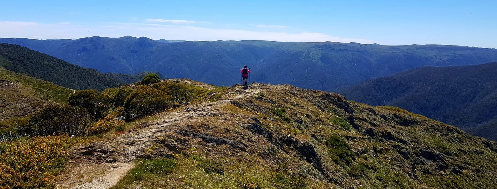 Razorback Walk Great Alpine Walk