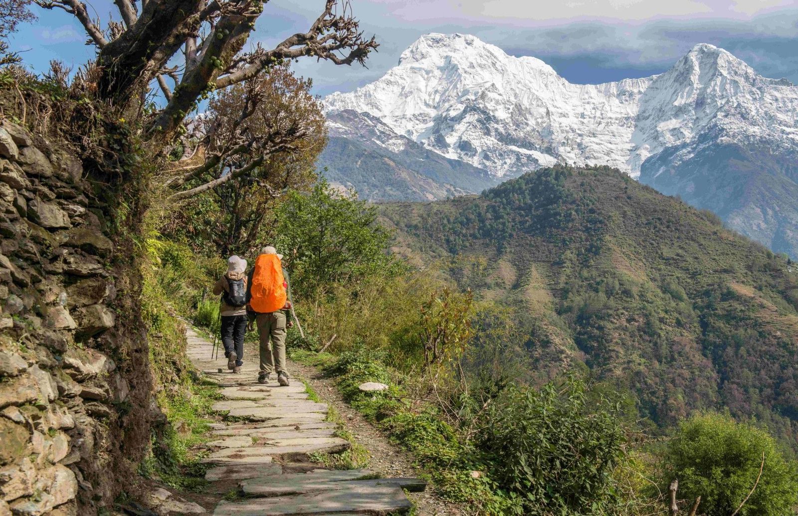 Annapurna Hikers  trekking the routes connecting Nayapul, Ghandruk, and Chhomrong.jpg