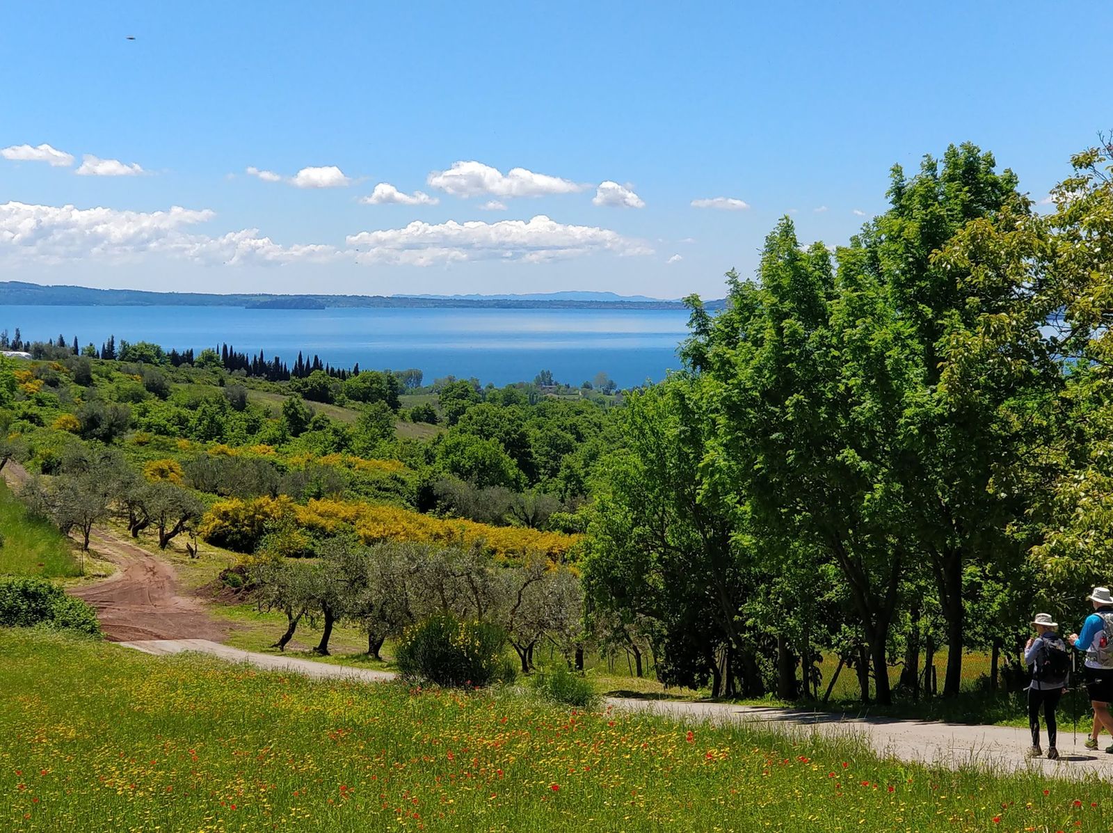 Bolsena lake