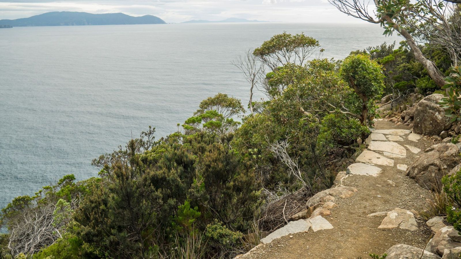 Bushland-Track-on-Cape-Hauy-Tasmania