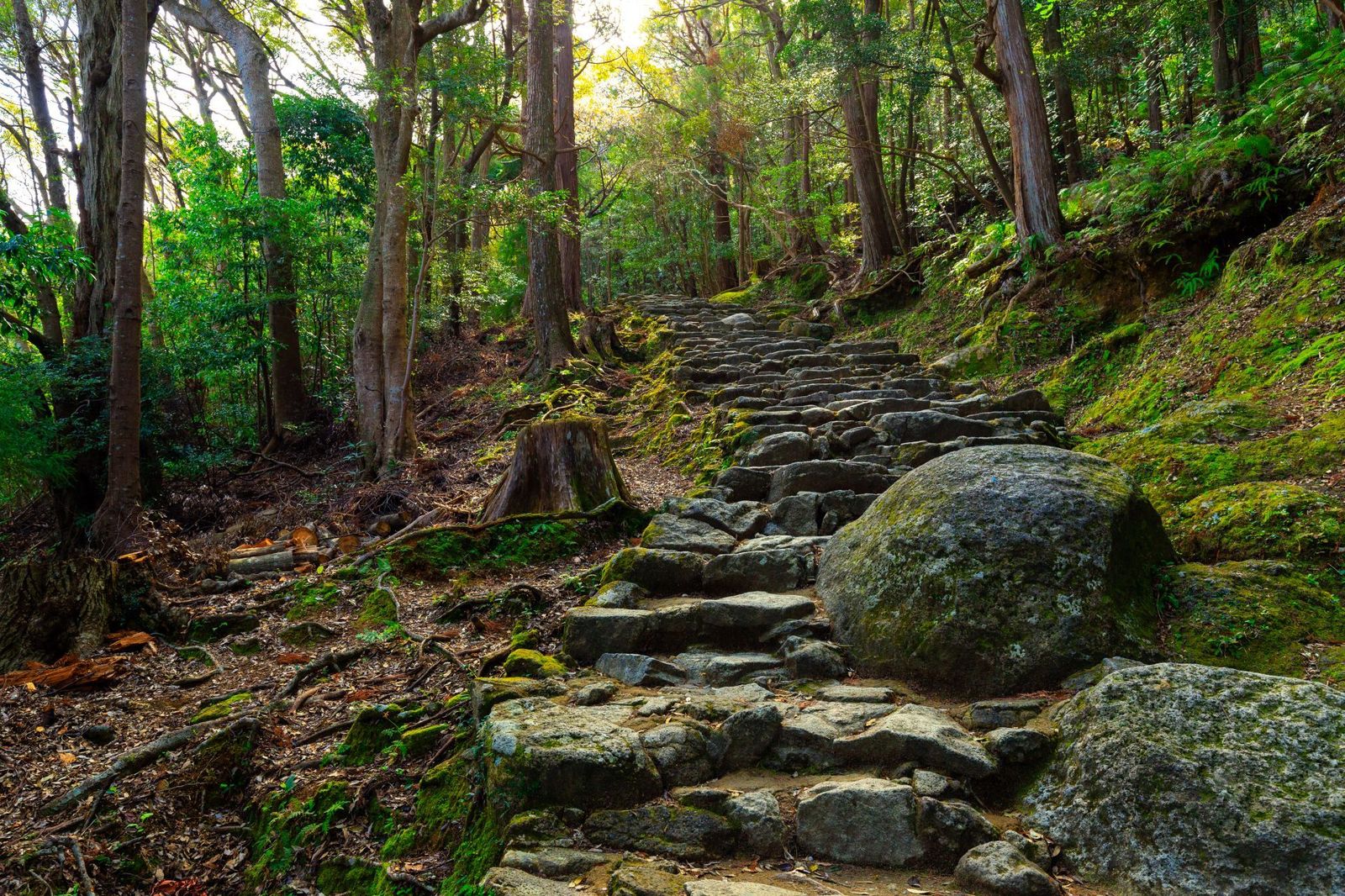 Combblestone-path-leading-to-the-Kamikura-Shinto-temple-Kumano-Kodo-pilgrimage-track