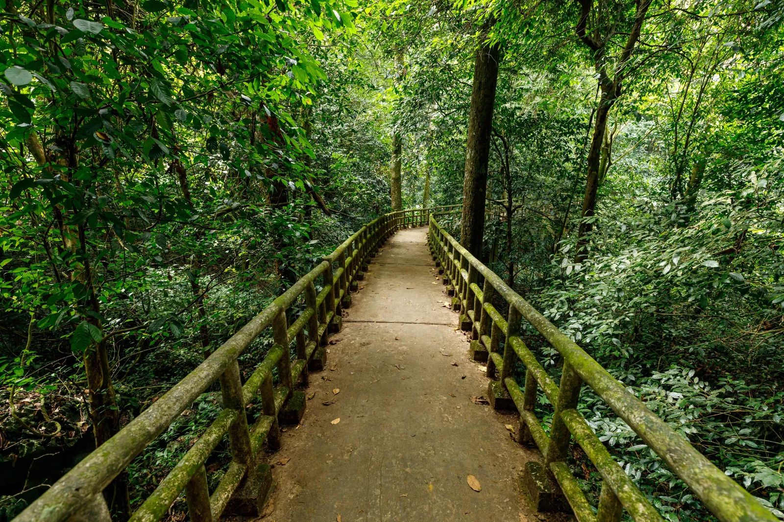 Cuc Phuong National Park
