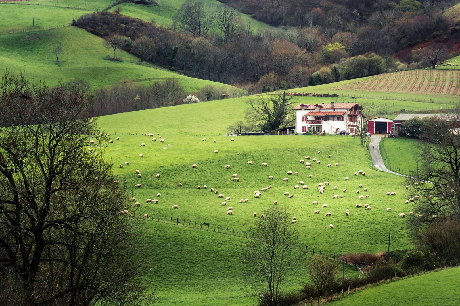 Farmhouse,In,The,French,Basque,Country
