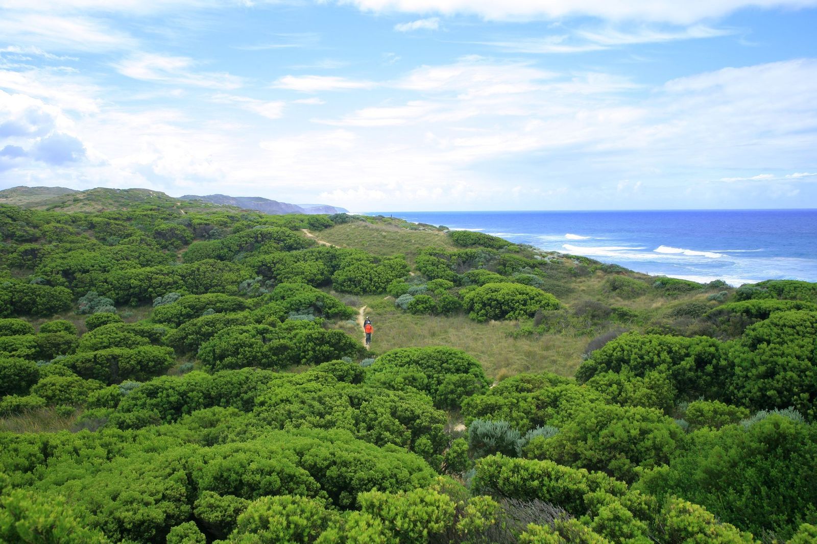 GOW-Coastal-Bushland-Trail