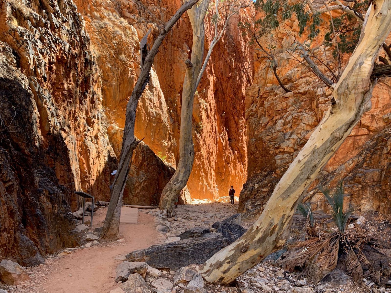 Hiker in Standley Chasm.jpg