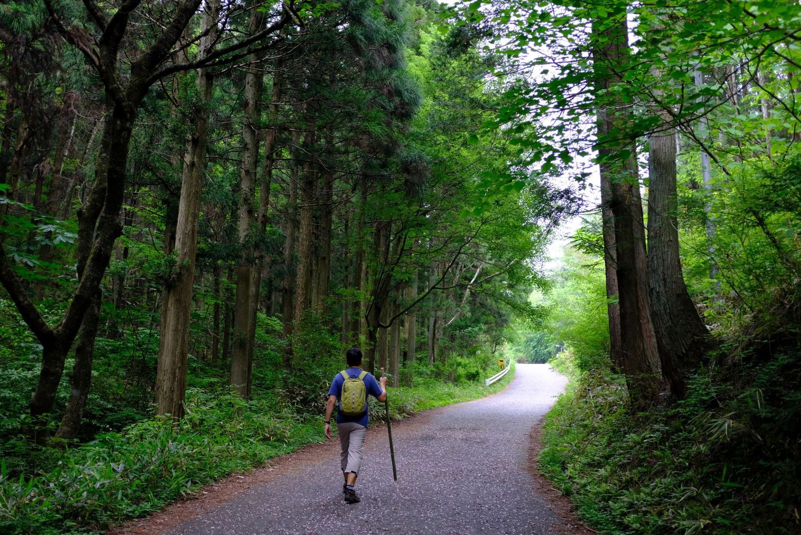 Hiker-on-a-Secluded-Forest-Road-to-the-Nakasendo