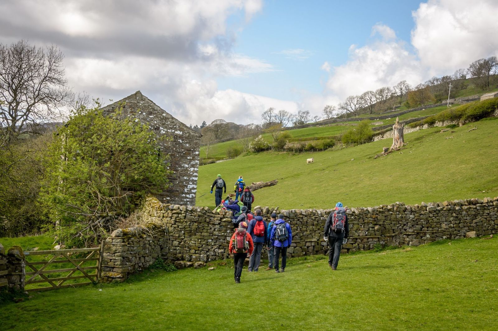 Hiking-in-the-Yorkshire-Dales
