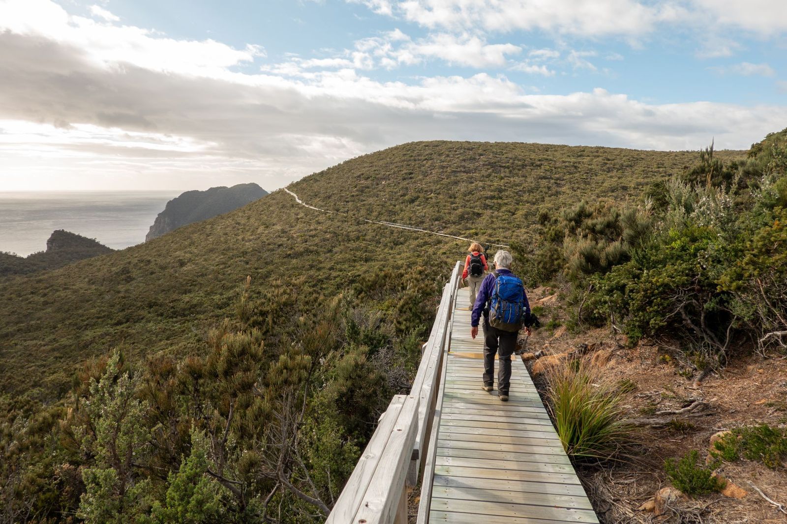 Immense Coastal Cliffs - Three Capes Track