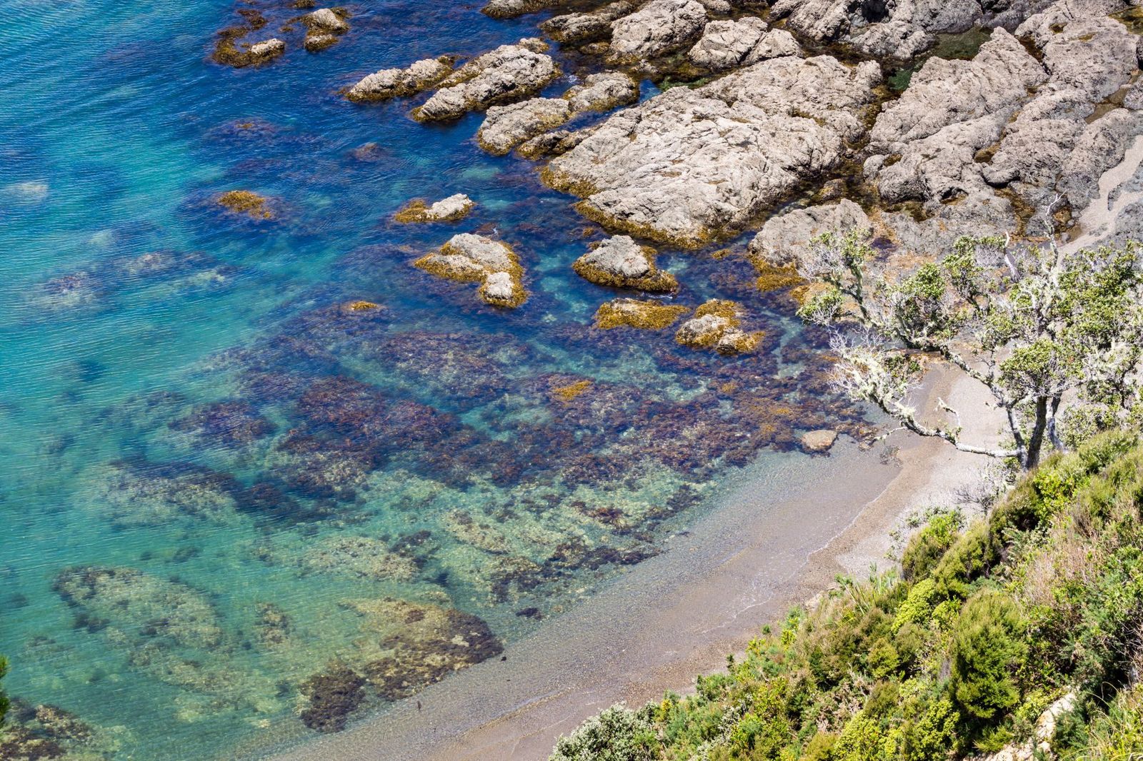 Landscape-from-Russell-Bay-of-Islands