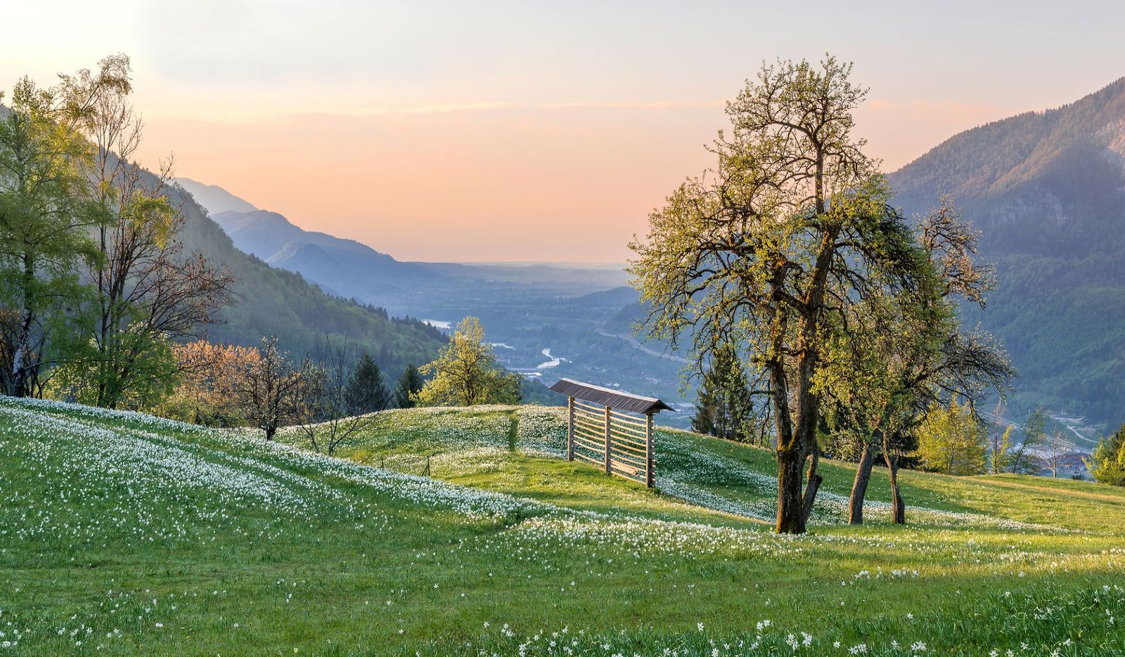 Morning in the Savinja Alps in Jesenice - supplied by Juliana Trails