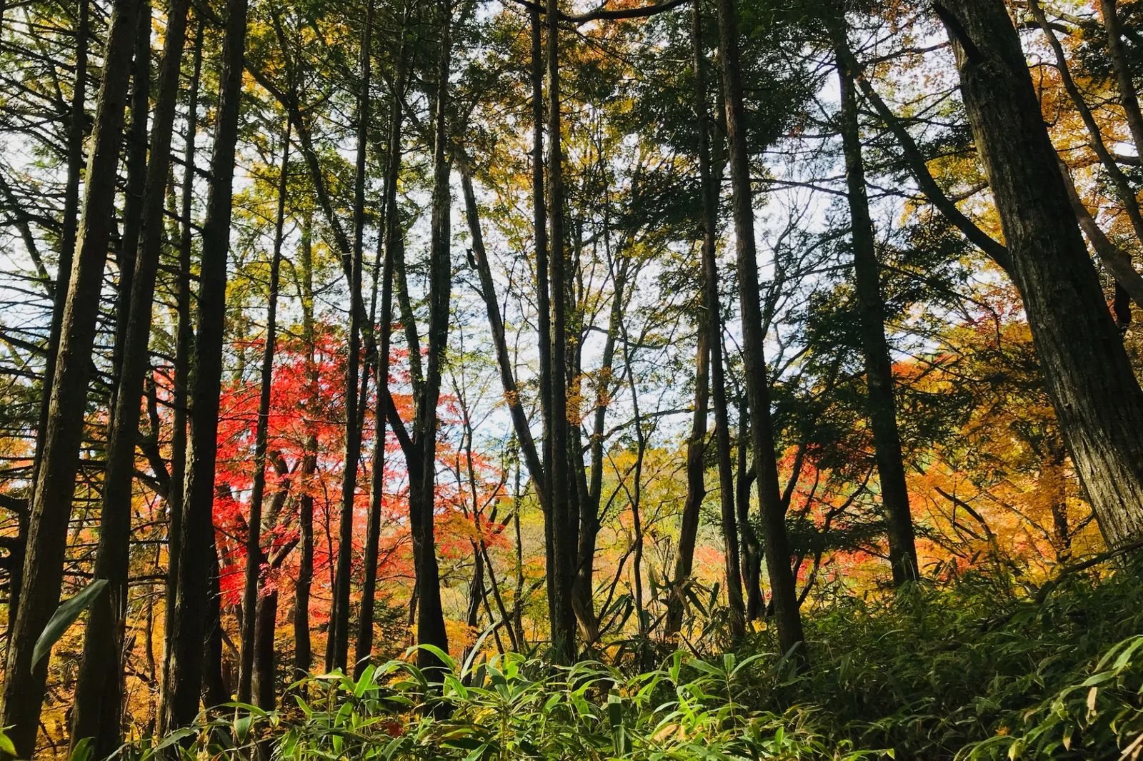 Nagiso to Nojiri