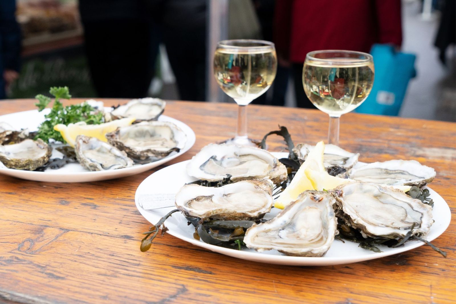 Oysters Brittany France supplied by Shutterstock