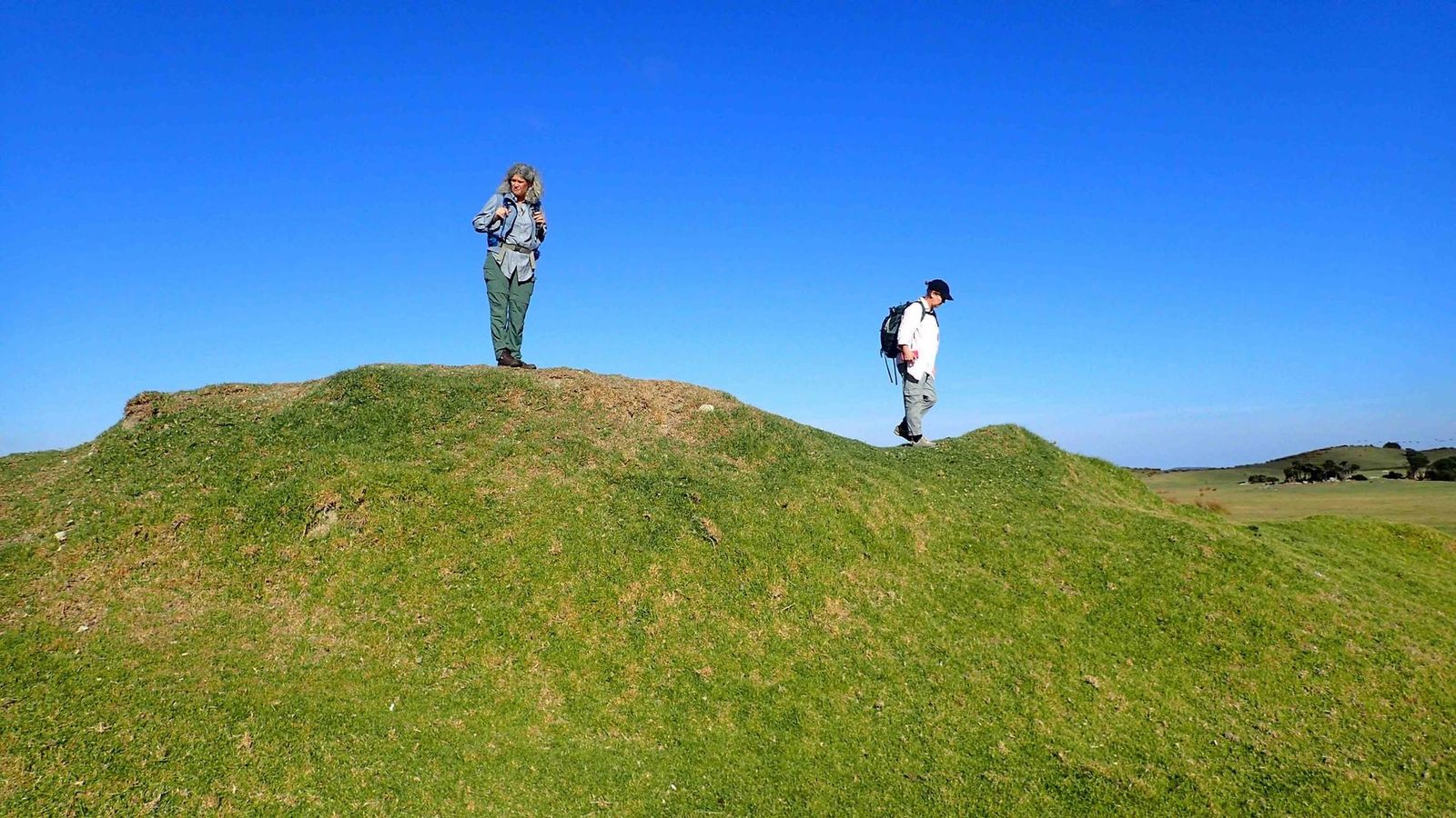 Walkers on mound Flinders island