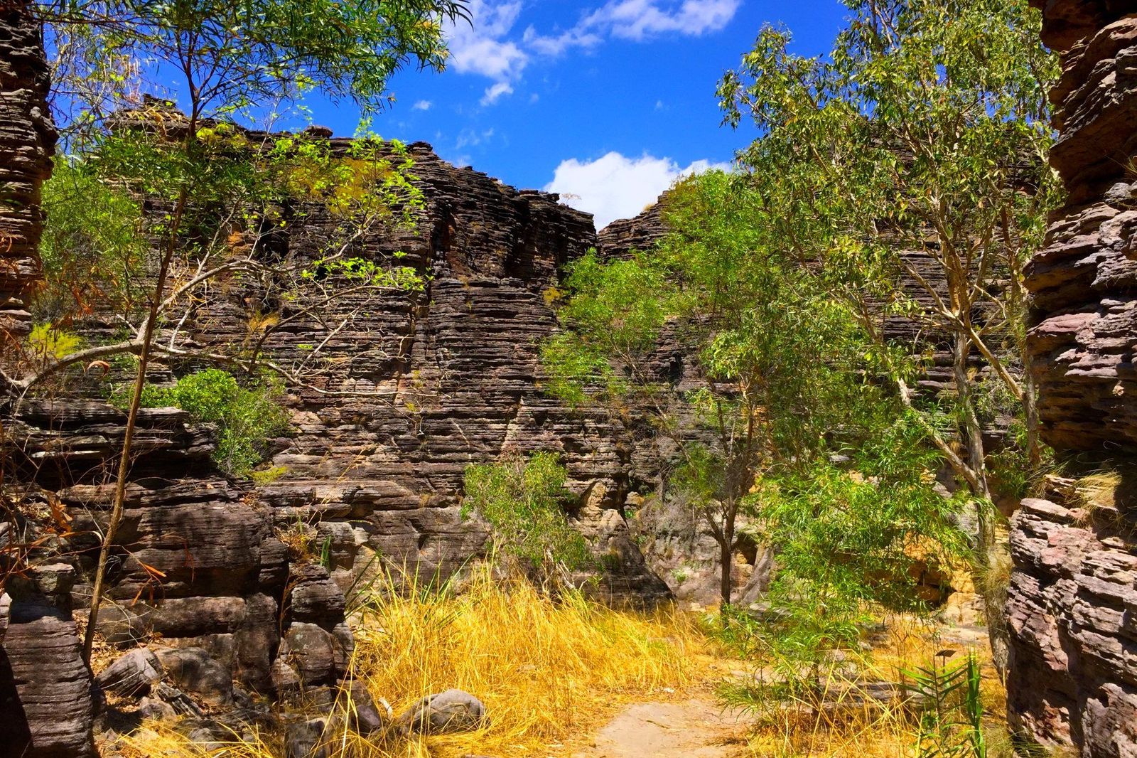 Path winding along the Bardedjilidji Walk near Cahill's Crossing in Kakadu National Park