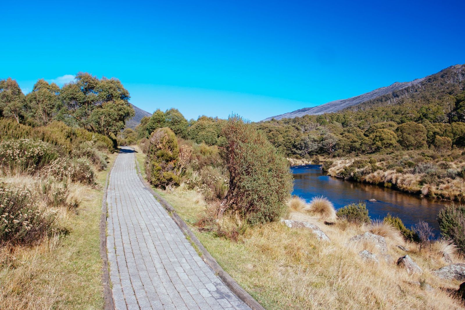 Paved-Thredbo-Valley-Walk-Alongside-the-River