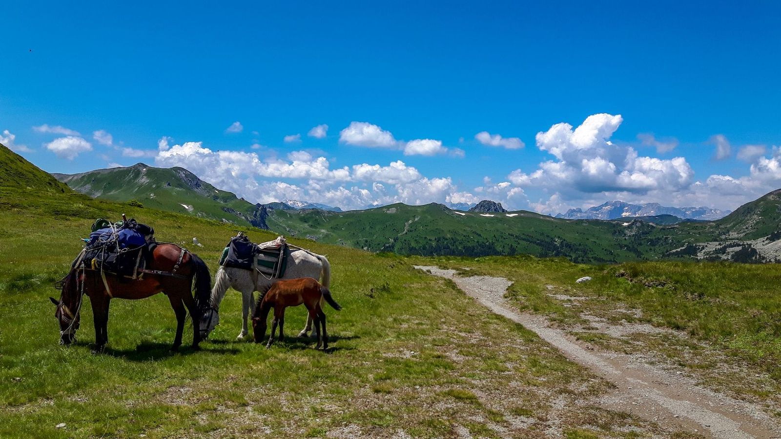 Peaks of Balkans luggage carriers