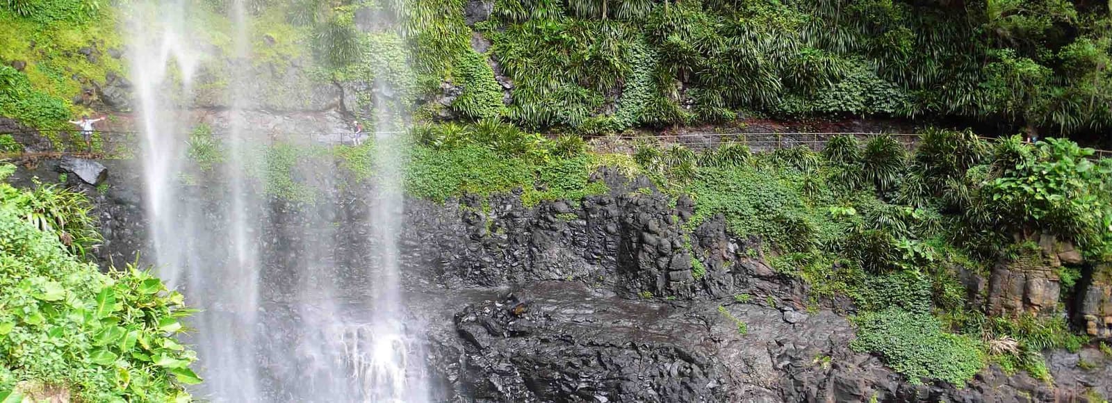 Gold Coast Hinterland Walks