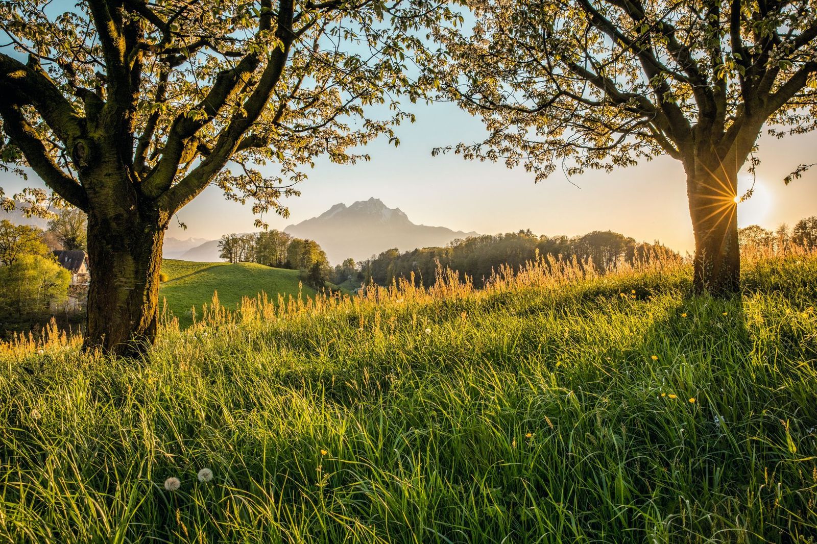 Sun bursting through trees onto Mount Pilatus-supplied by Eurotrek