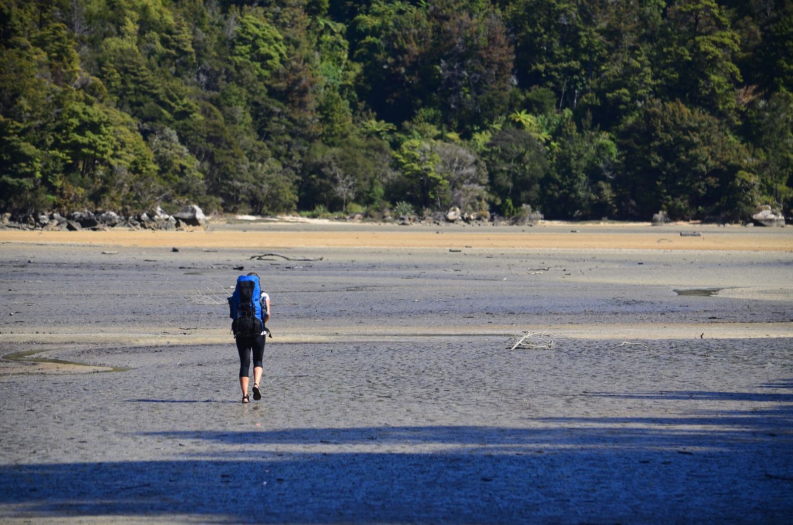 Trekking-Across-the-Torrent-Bay-Estuary-Abel-Tasman
