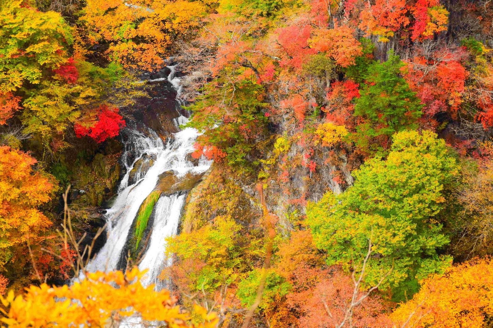 Waterfall Nikko Kirifuri falls sm