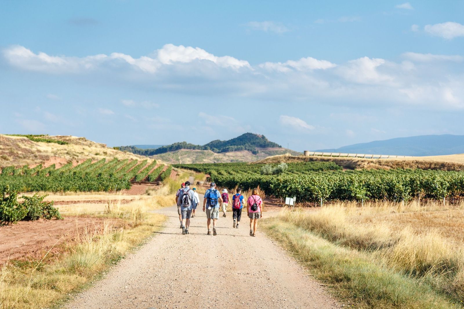 a group of pilgrims walking the camino de santiago along wheat fields and vinyards in la rioja region,  spain.jpg