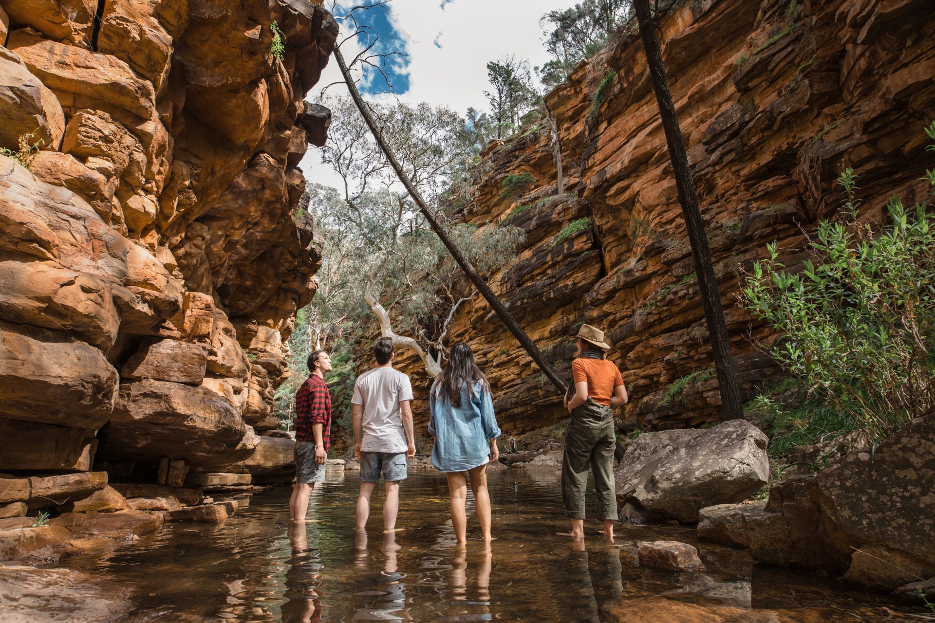 Flinders Ranges Walk - 7 Days