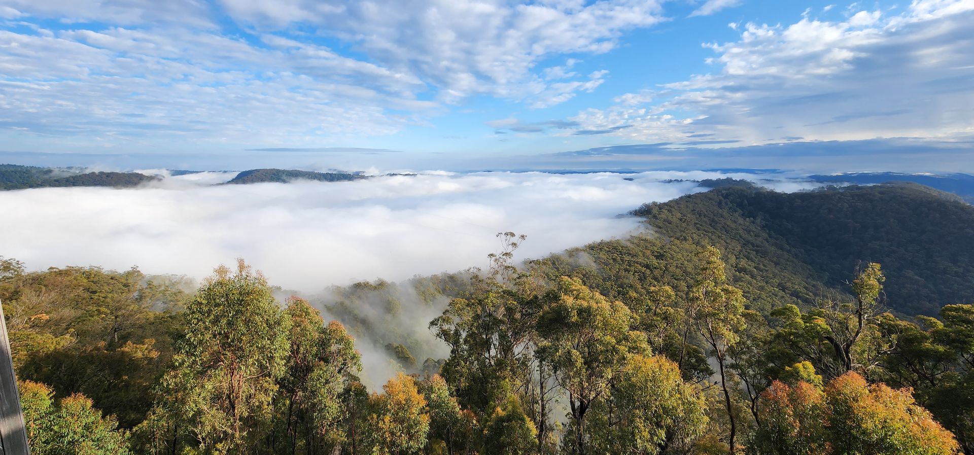 Gold Coast Hinterland Great Walk - 7 Days