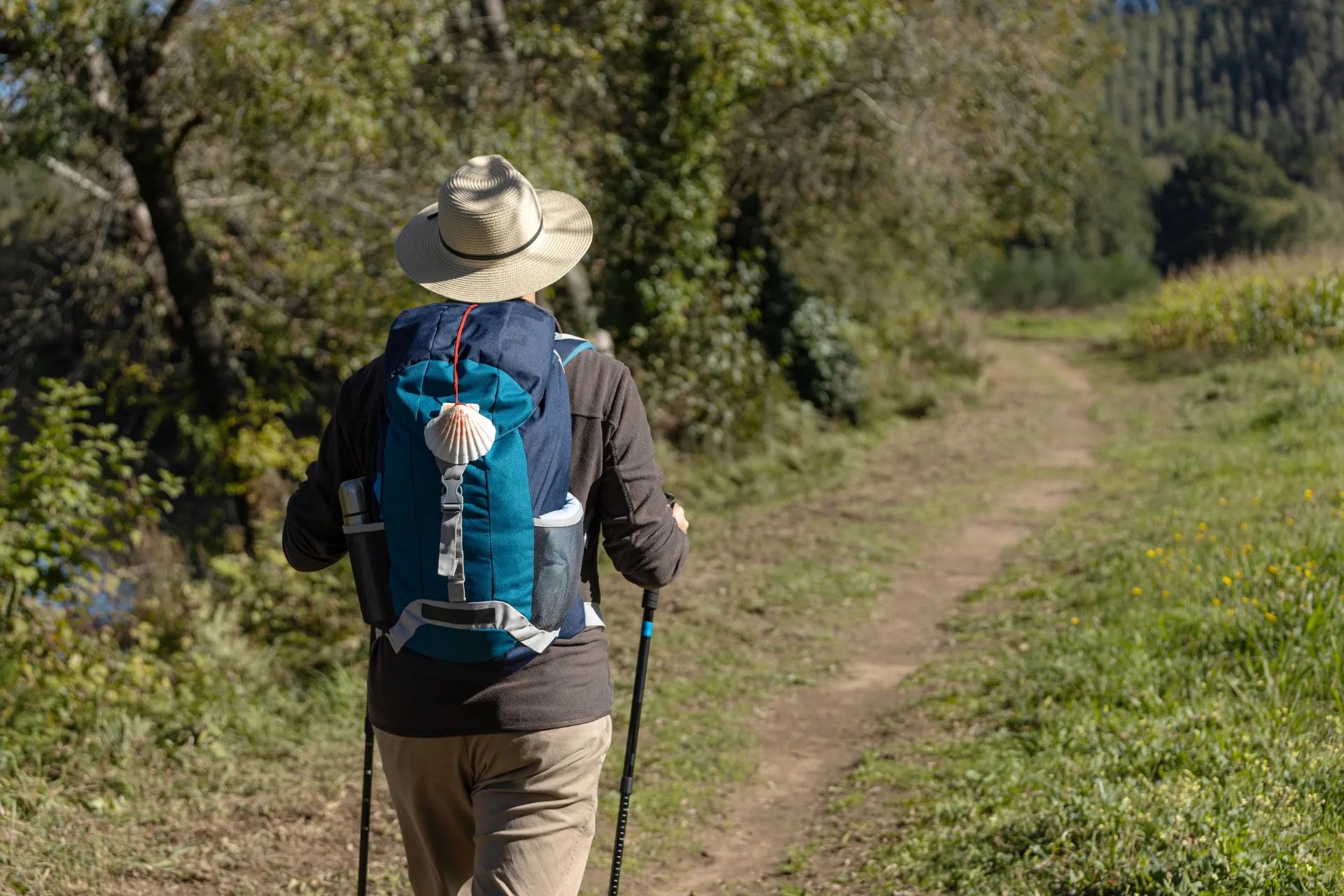 Camino Frances: Leon to Santiago -17 Days
