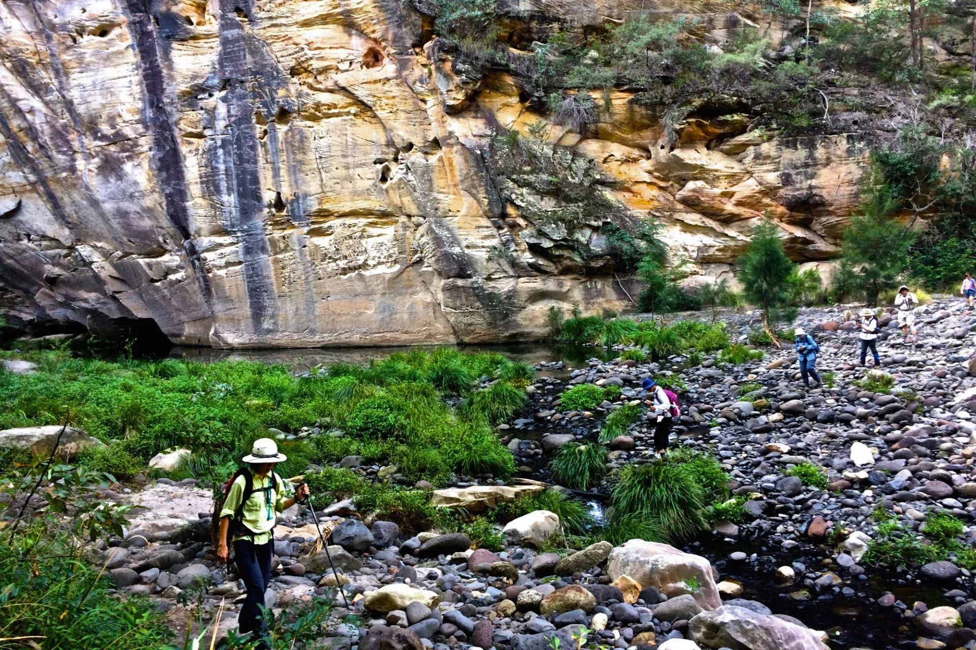 Carnarvon Gorge - 4 Days