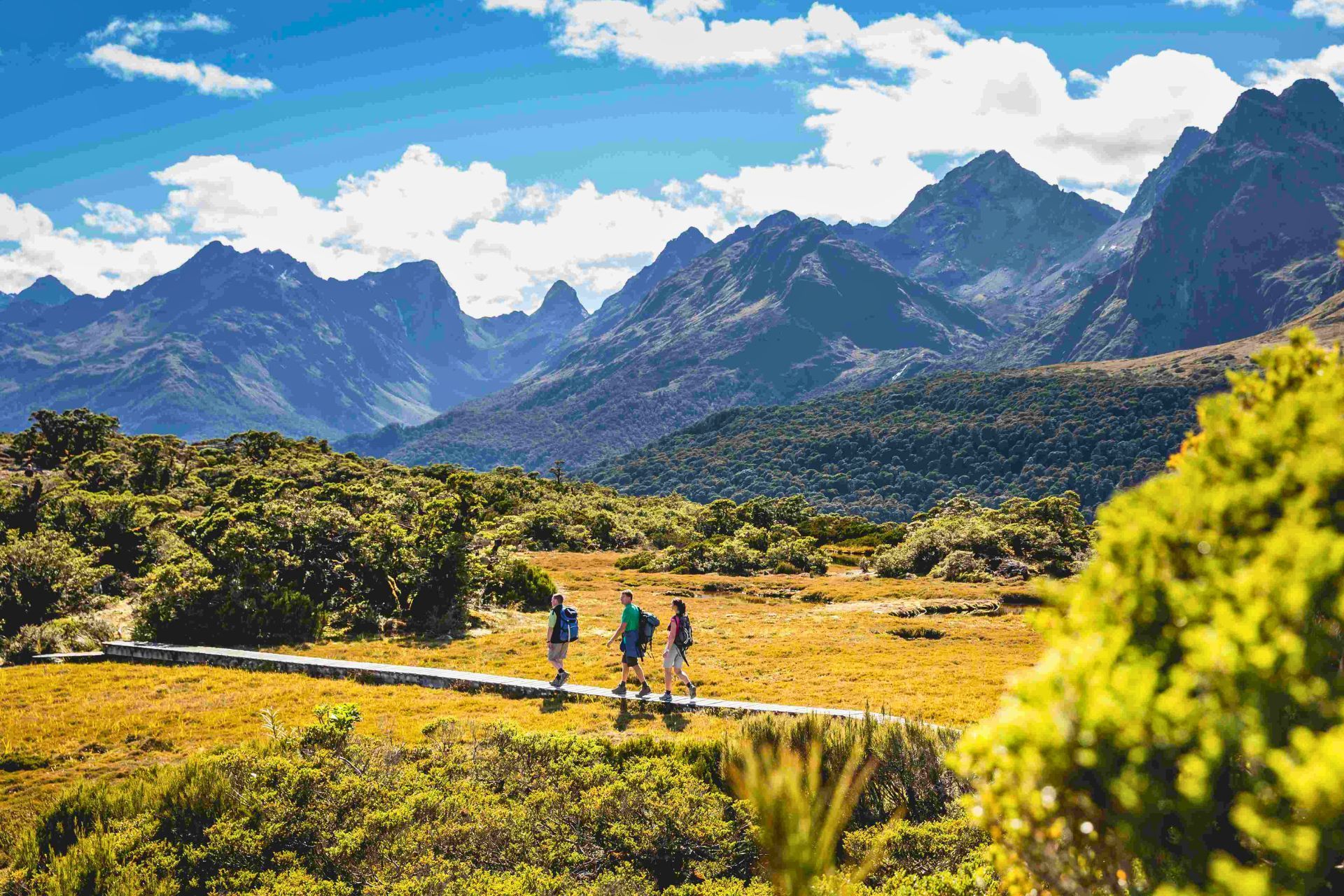 Fiordland’s Classic Walks: Milford, Routeburn, Kepler & Hollyford - 6 Days
