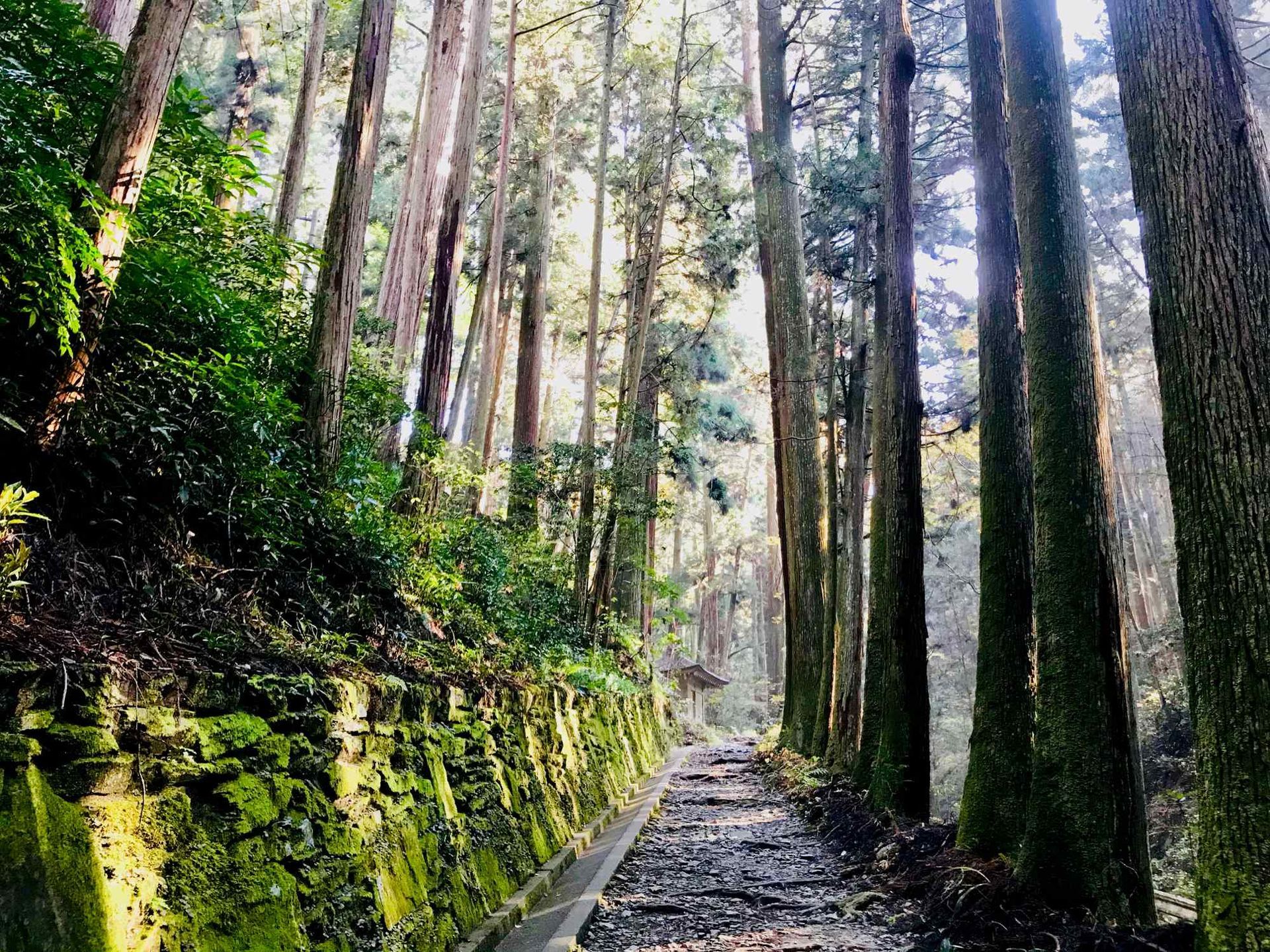 Shikoku Henro Pilgrimage - 8 Days