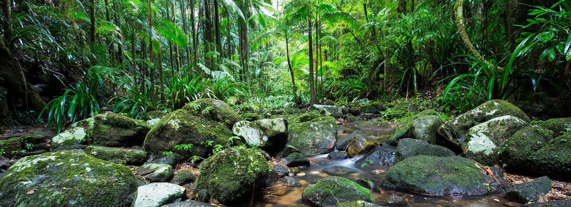 Gold Coast Hinterland Great Walk - 6 Days