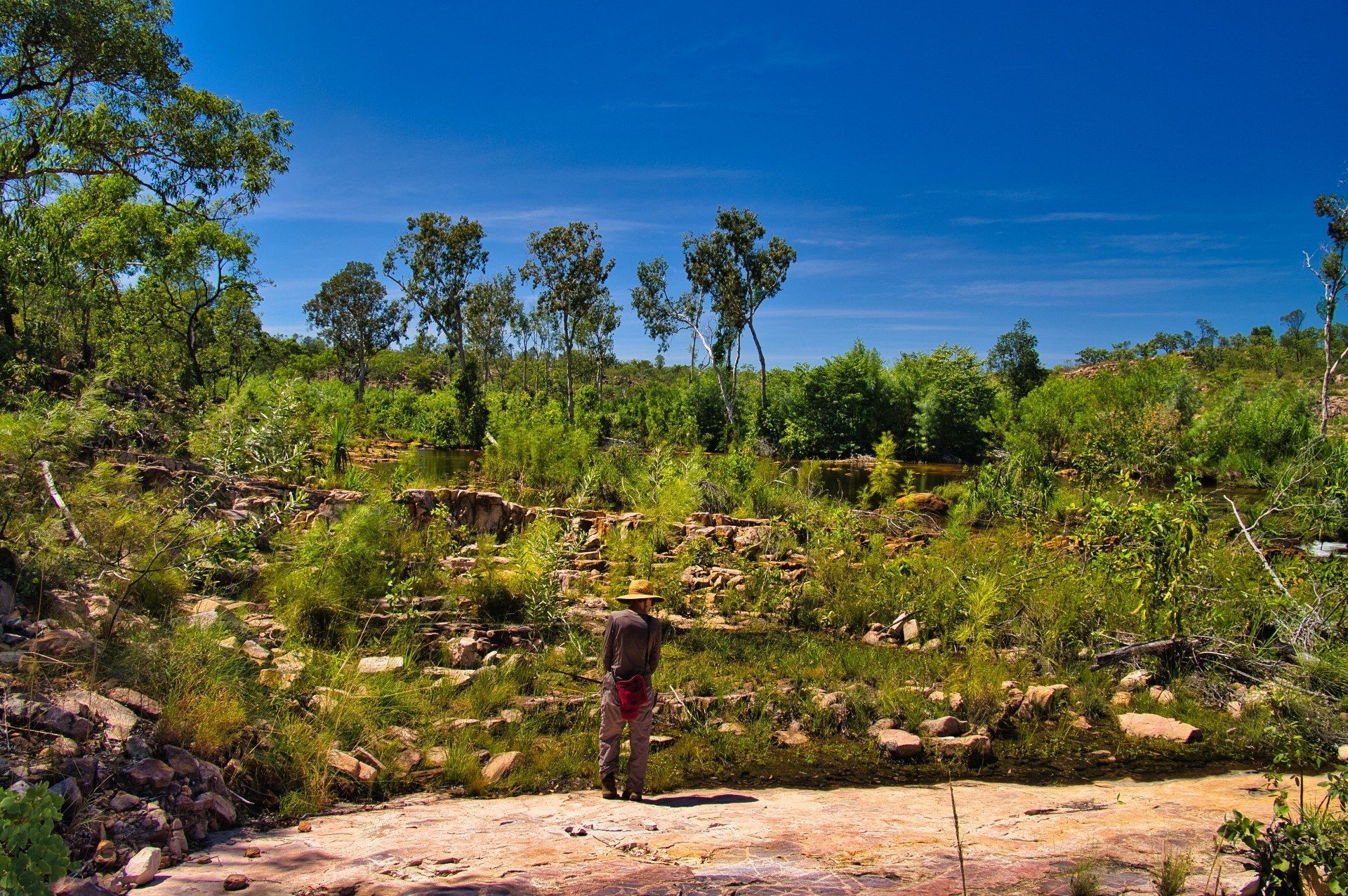 The Top End: Kakadu, Katherine & Litchfield - 6 Days