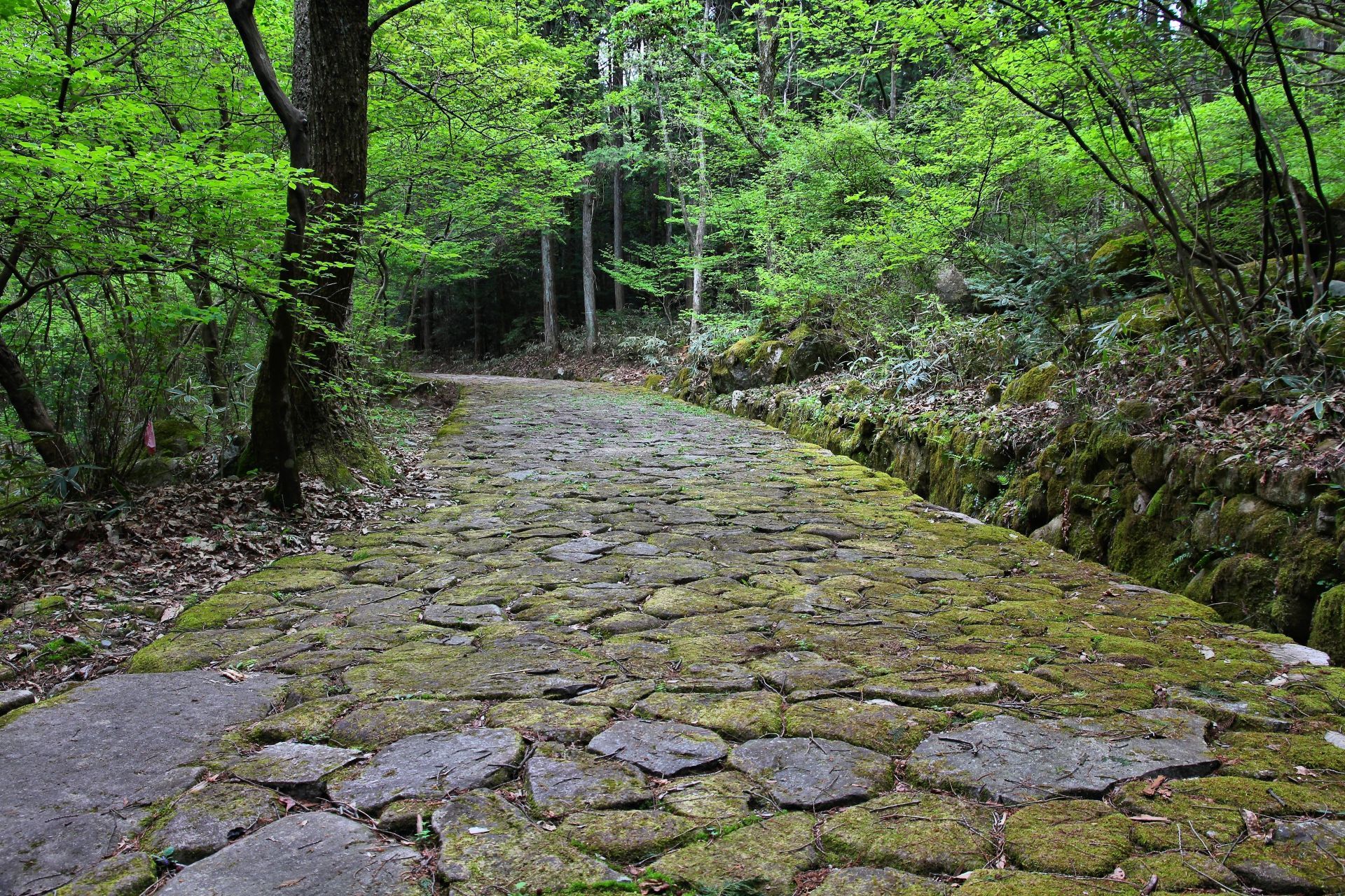 Nakasendo Highlights - 6 Days