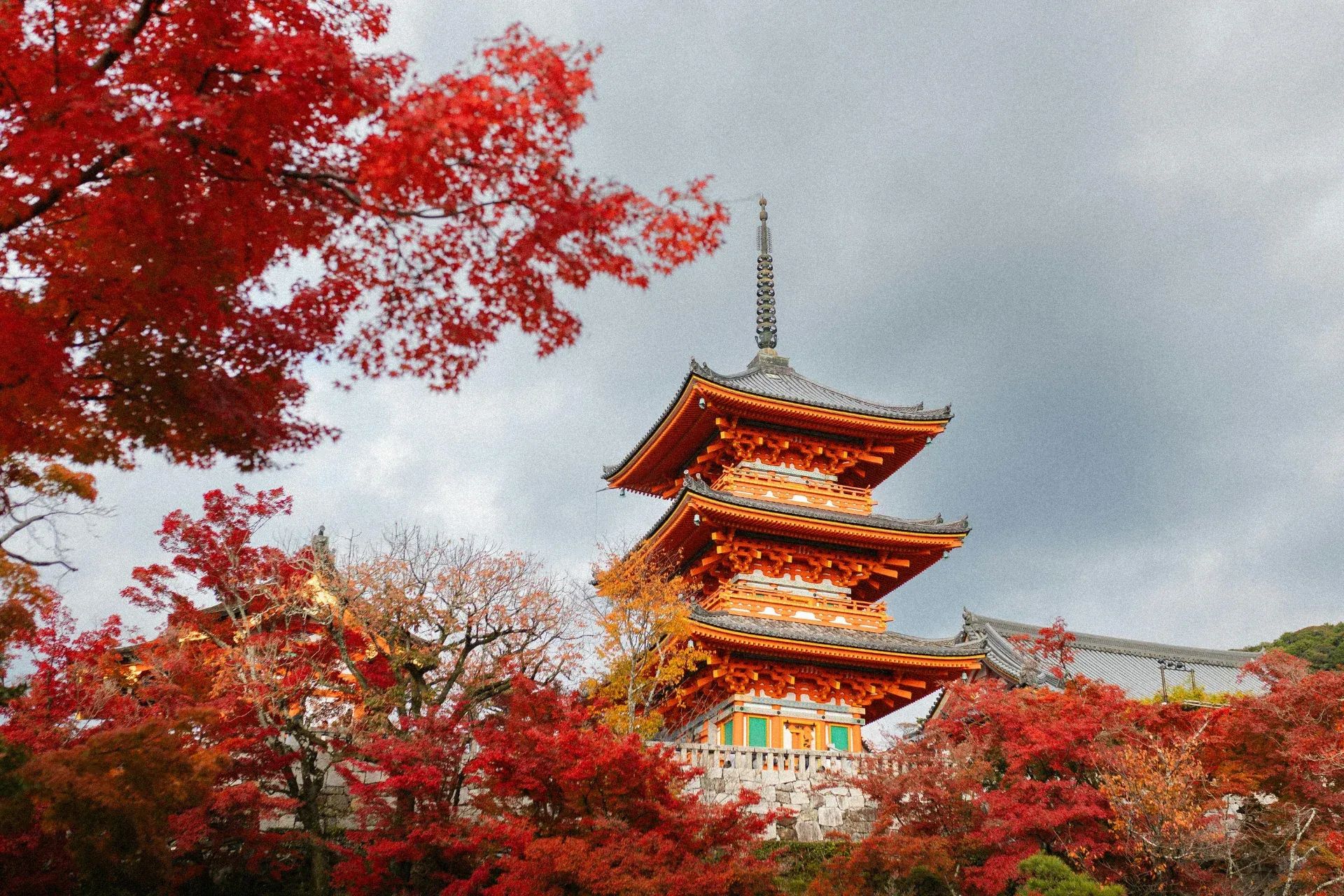 Kyoto & Nakasendo Walk - 9 Days