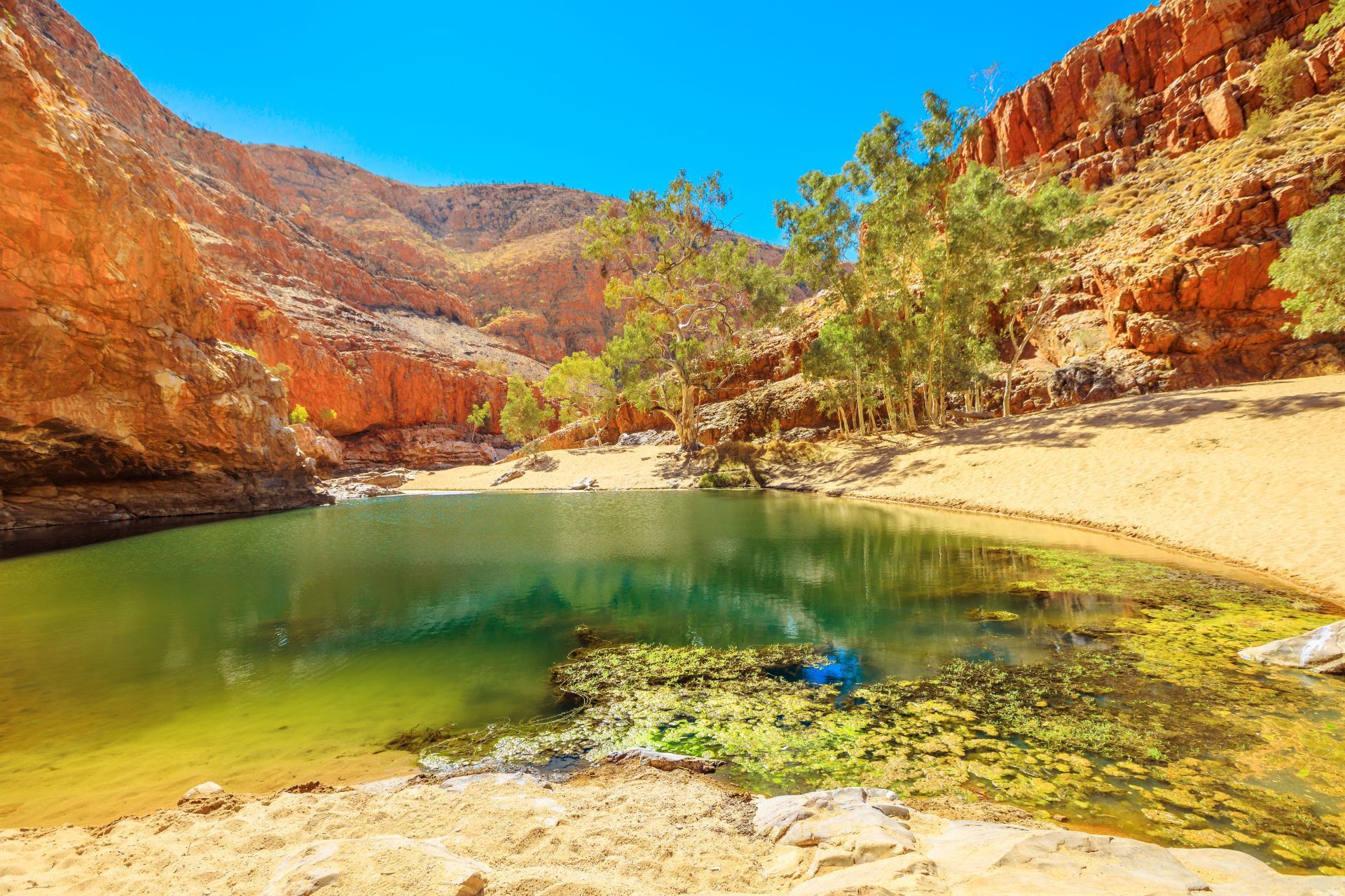 Larapinta Trail Highlights - 6 Days