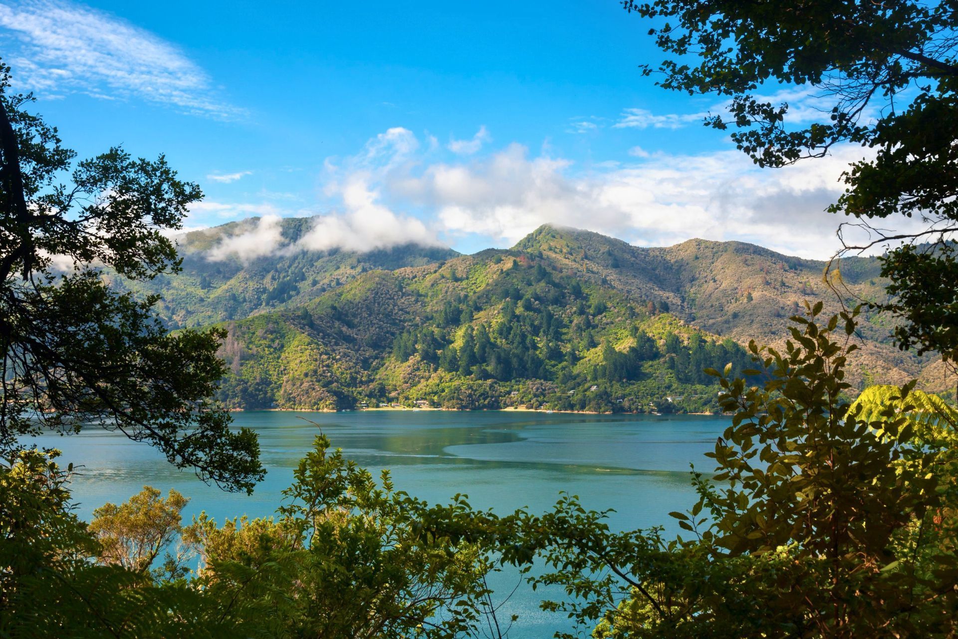 Queen Charlotte Track: End to End - 6 Days