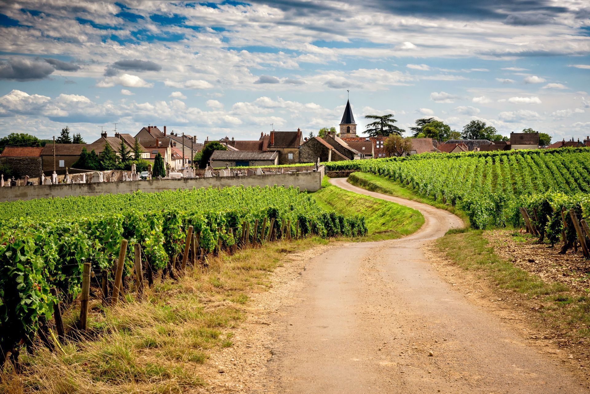 Vineyards & Villages of Burgundy - 7 days