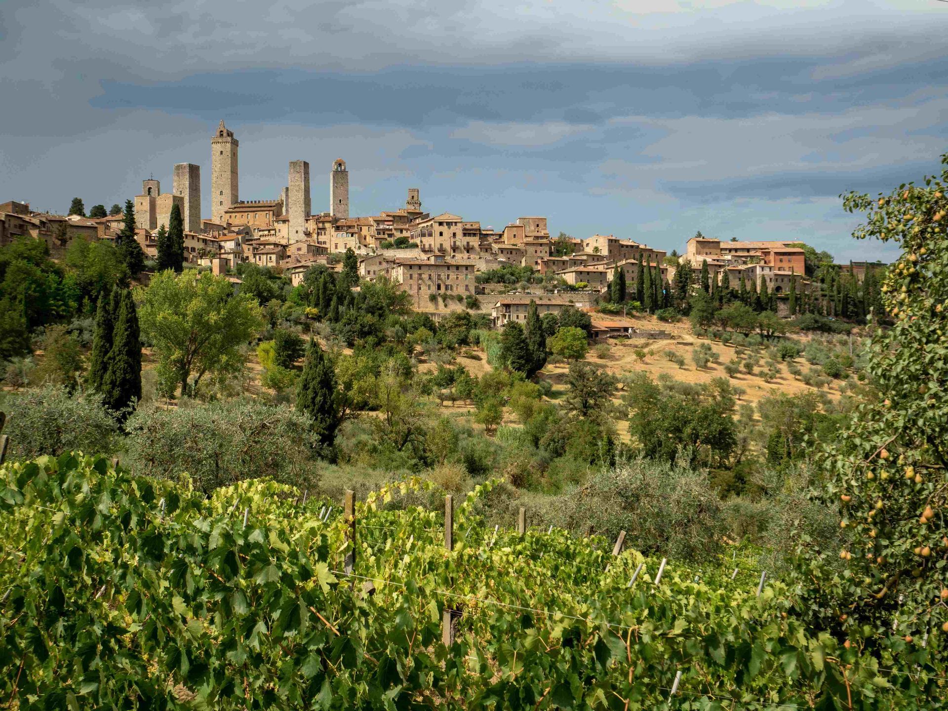 Via Francigena Camino Italy: San Miniato Alto to Buonconvento - 9 Days
