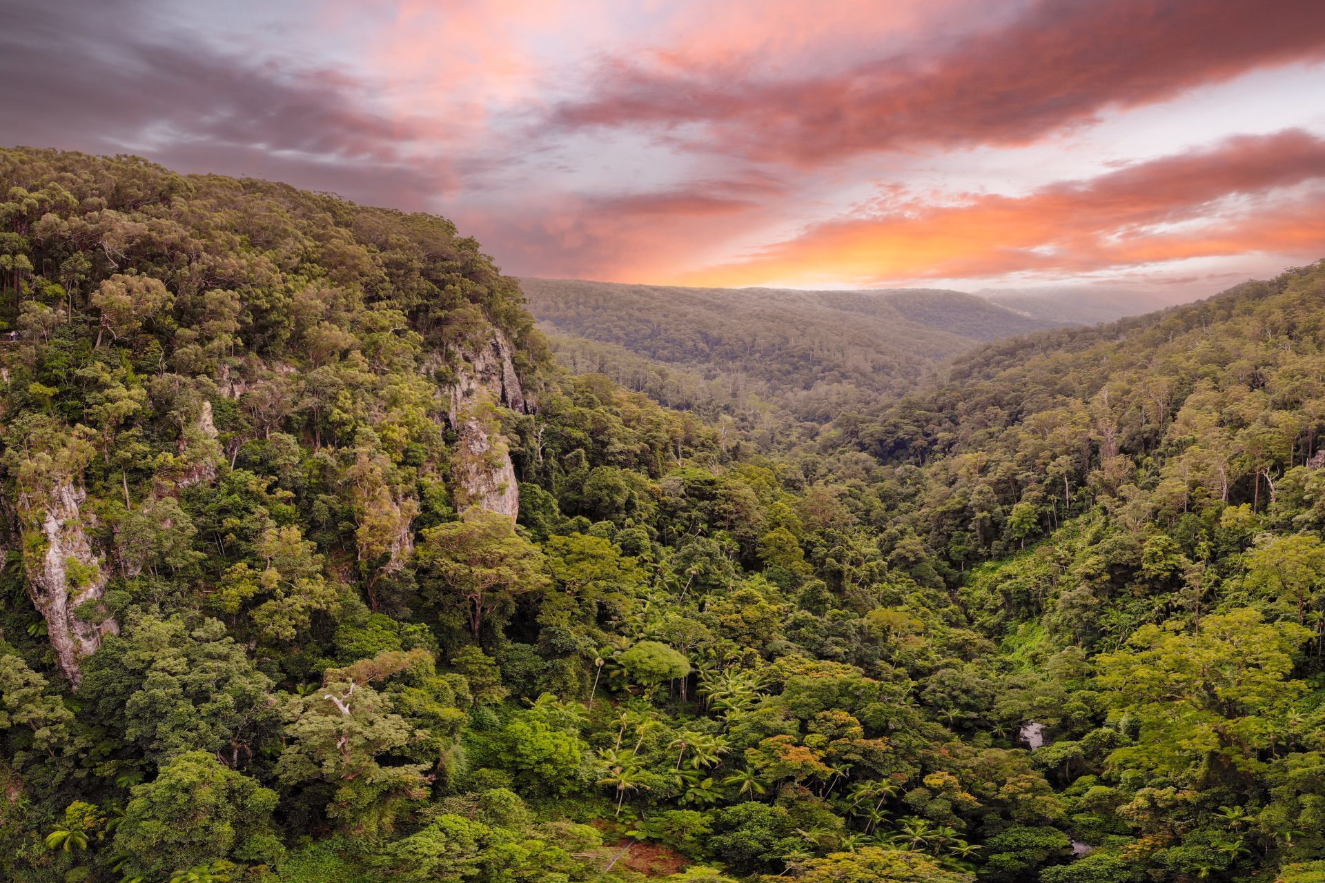 Gold Coast Hinterland Great Walk Highlights - 5 Days