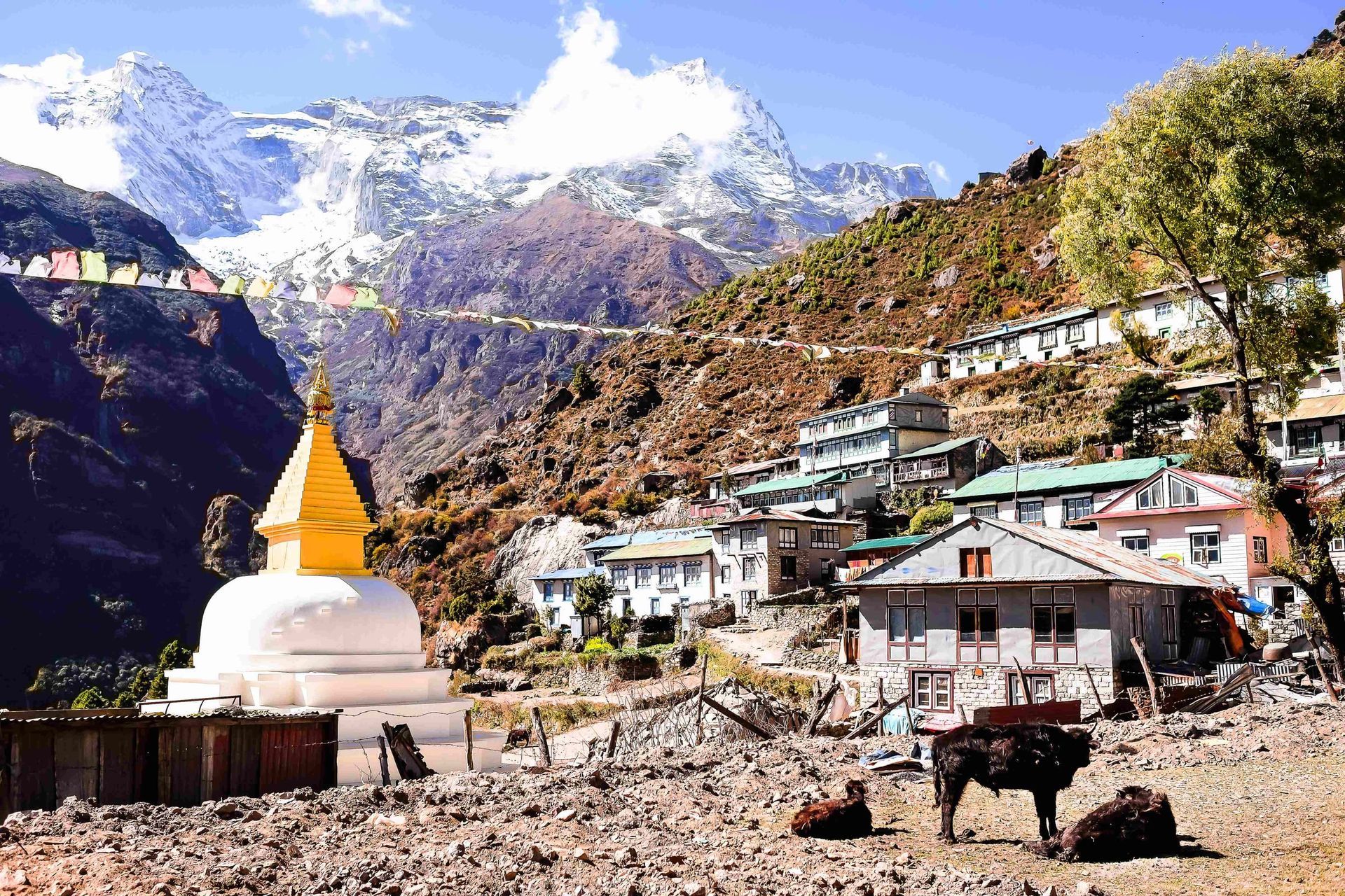 Everest Base Camp via Gokyo Lake & Cho La Pass - 17 Days