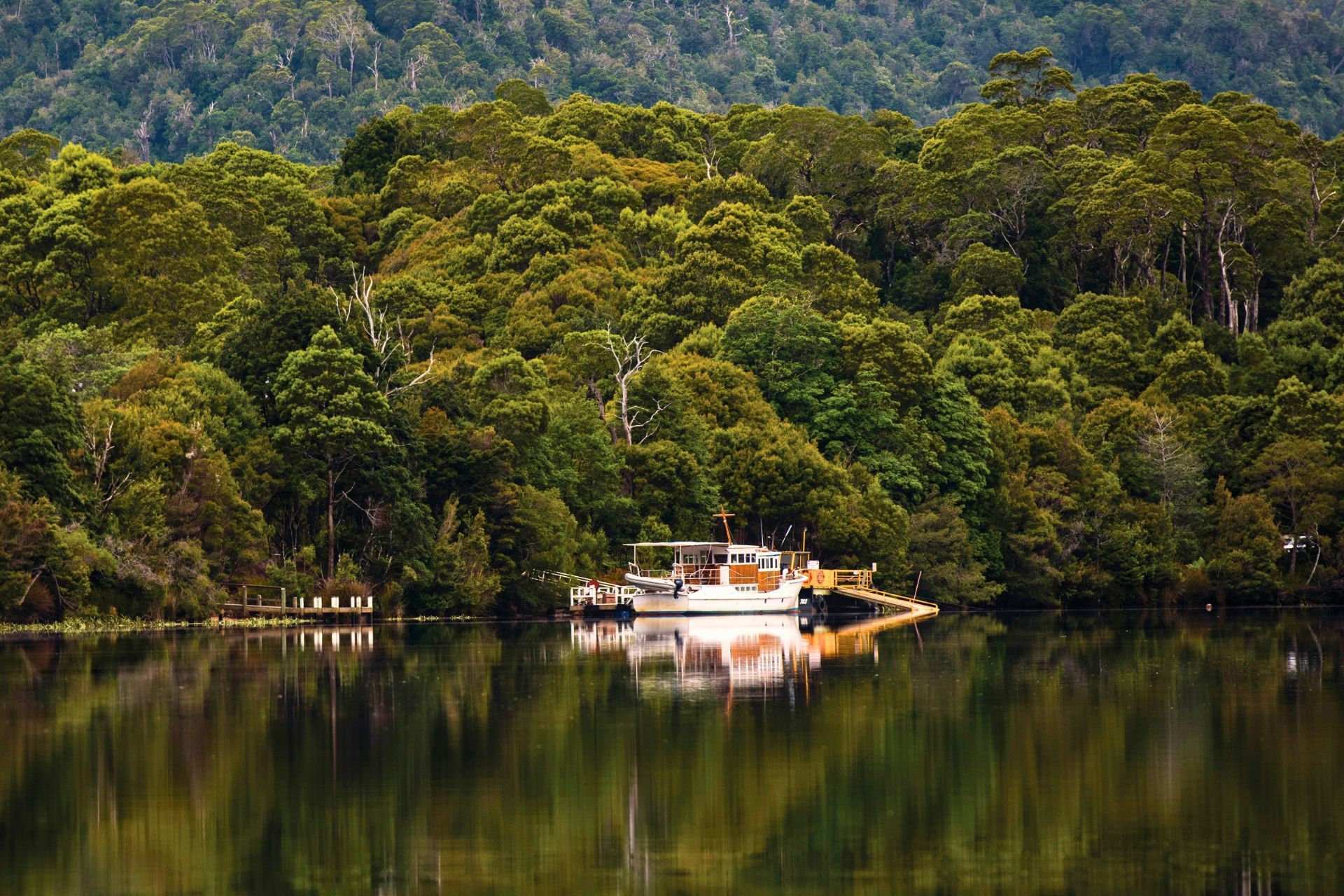 The Tarkine