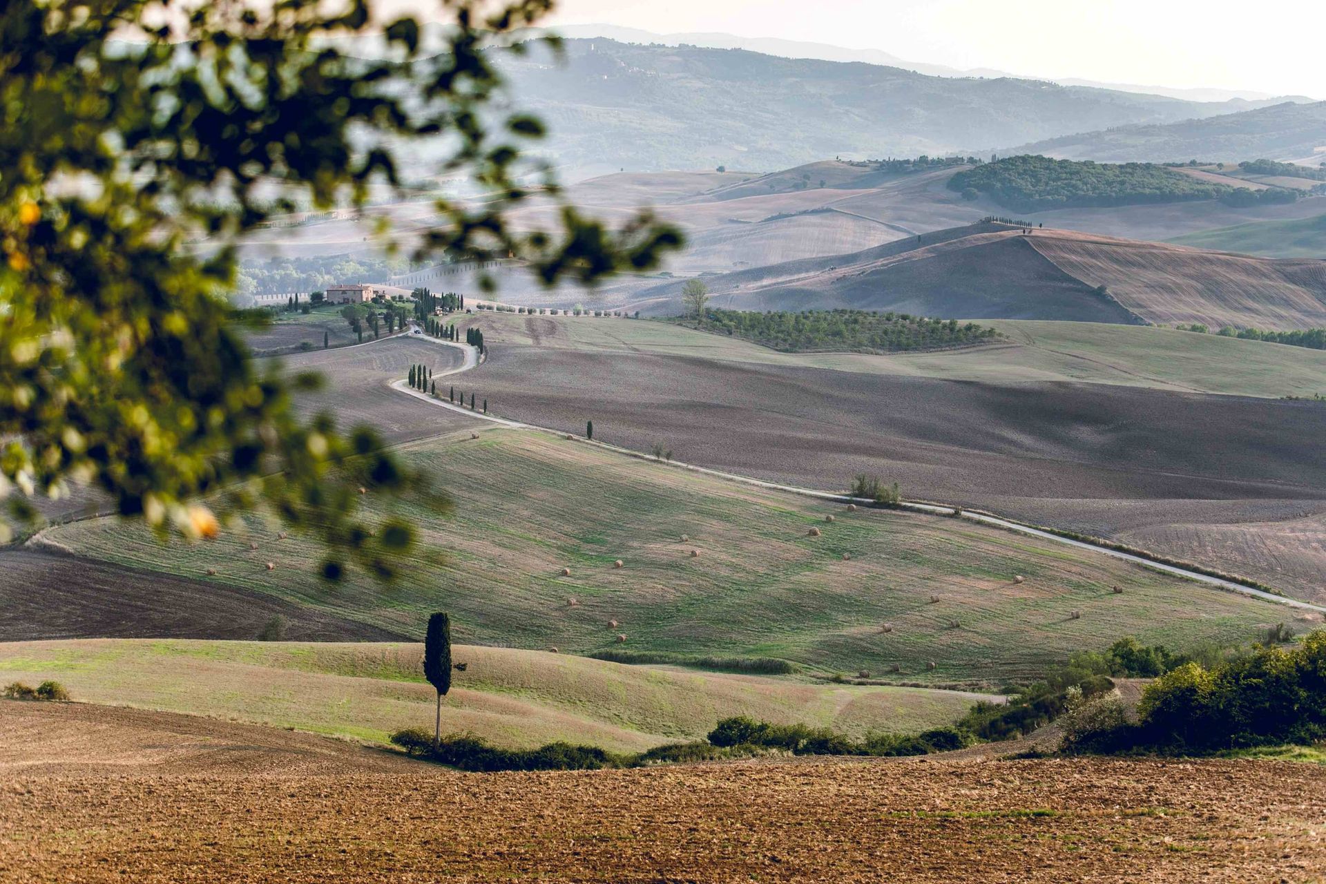 Via Francigena Camino Italy: Siena to Montefiascone - 10 Days