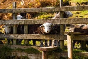 west to east coast walk uk